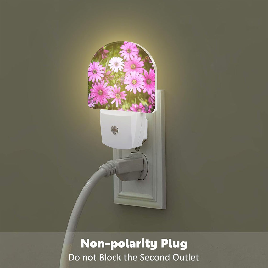 Purple Daisies Flowers Night Light, Beautiful Blooming Daisy Dusk to Dawn Night Light Plug in,0.5w Energy Saving Sleep Friendly…