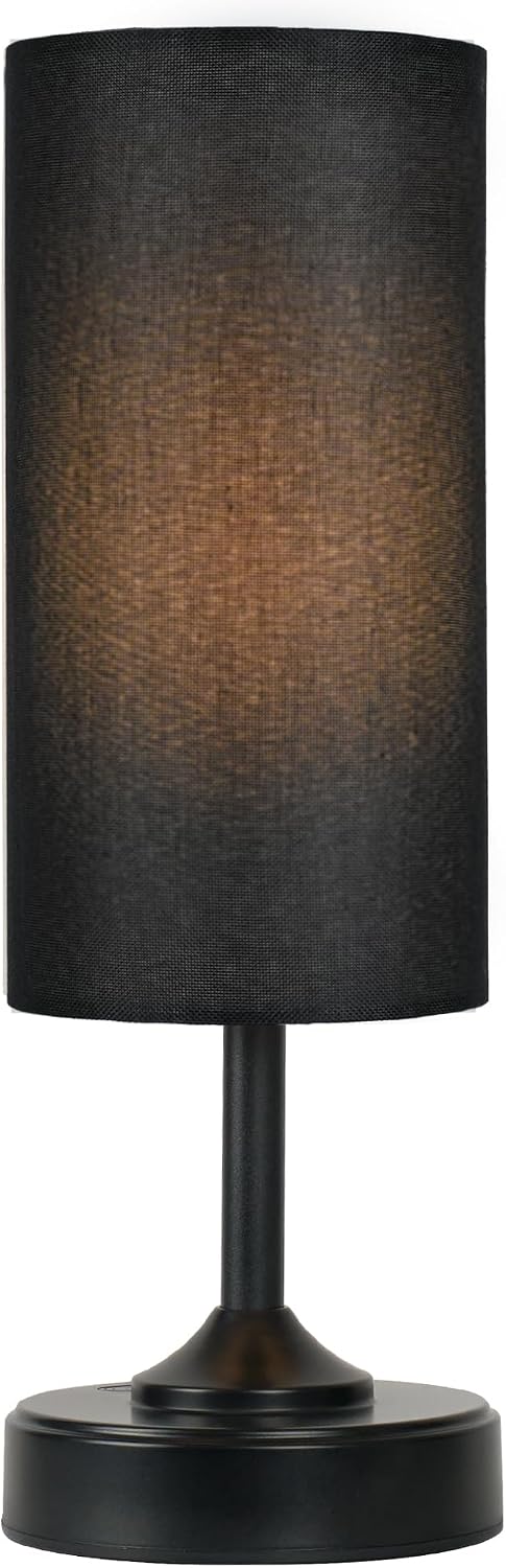 EZVALO Cordless Lamp, Ambient Light, Dimmable, 2700K, Timer, Touch Control, Portable, LED, Battery Operated, Rechargeable, Cordless, Desk…
