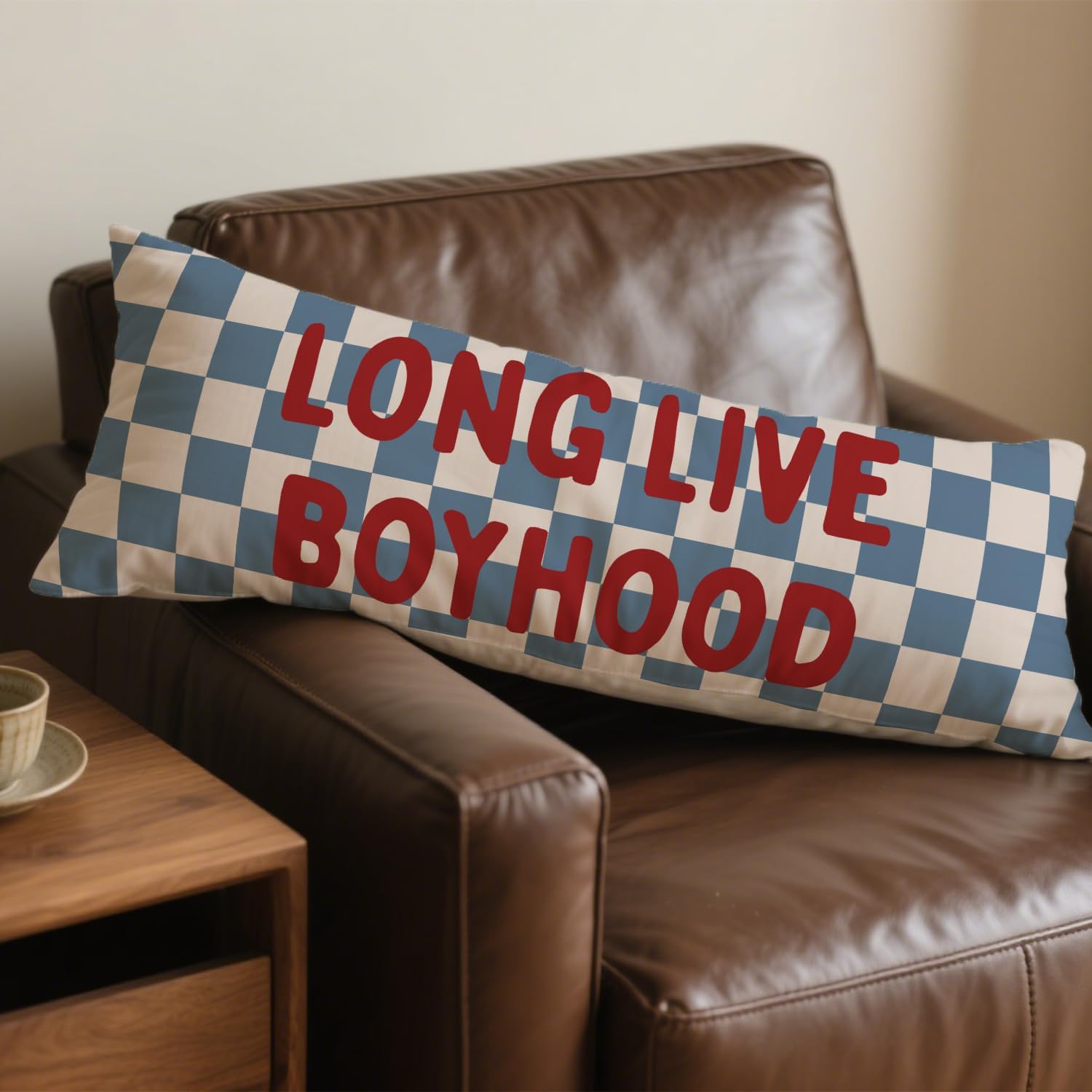 Long Live Boyhood 20x54 Body Pillow Cover for Boys Room Nursery, Boy Nursery Decor, Kids Playroom Decor, Retro Blue and White Checkered…