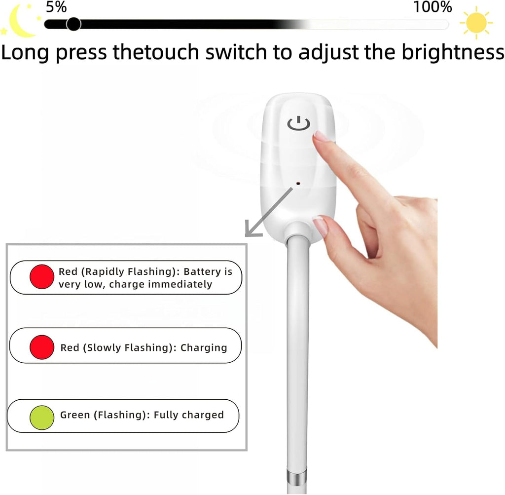 Cordless Portable Floor Lamp, Adjustable Gooseneck with Touch Switch, 3 Color Modes, Lightweight & Rechargeable for Living Room, Bedroom…