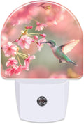 Hummingbird with Cherry Blossoms Night Light Plug into Wall, Pink Flowers Bird Dusk to Dawn Night Light,0.5w Energy Saving Sleep Friendly…