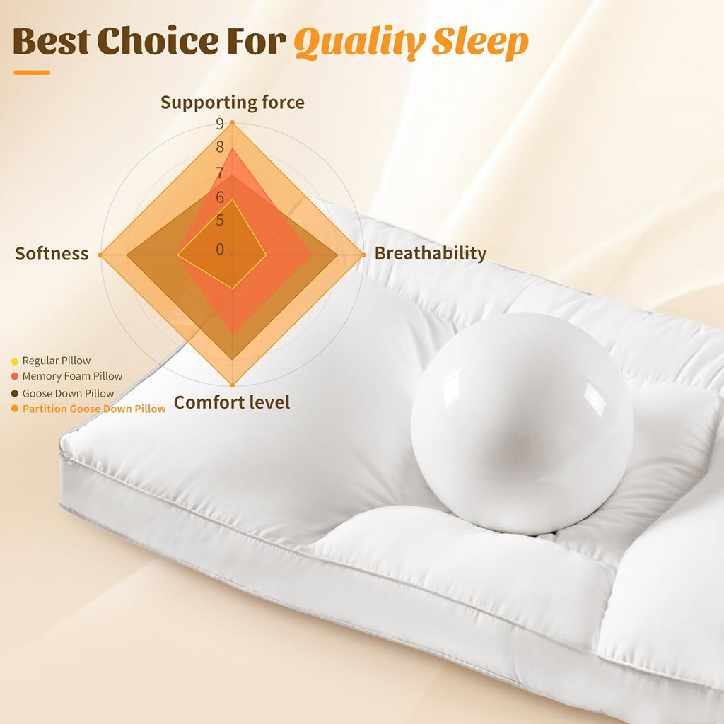 Goose Down Pillow Queen Size Set of 2, 1250+ Fill Power, 600 Thread Count Cotton Shell, for Side, Back(White, Queen(Pack of 1))