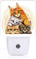 Colorful Cats Night Light, Plug-in Night Lights with Dusk to Dawn Sensor for Stairway, Hallway, Bedroom Sleep Friendly Ideal for…