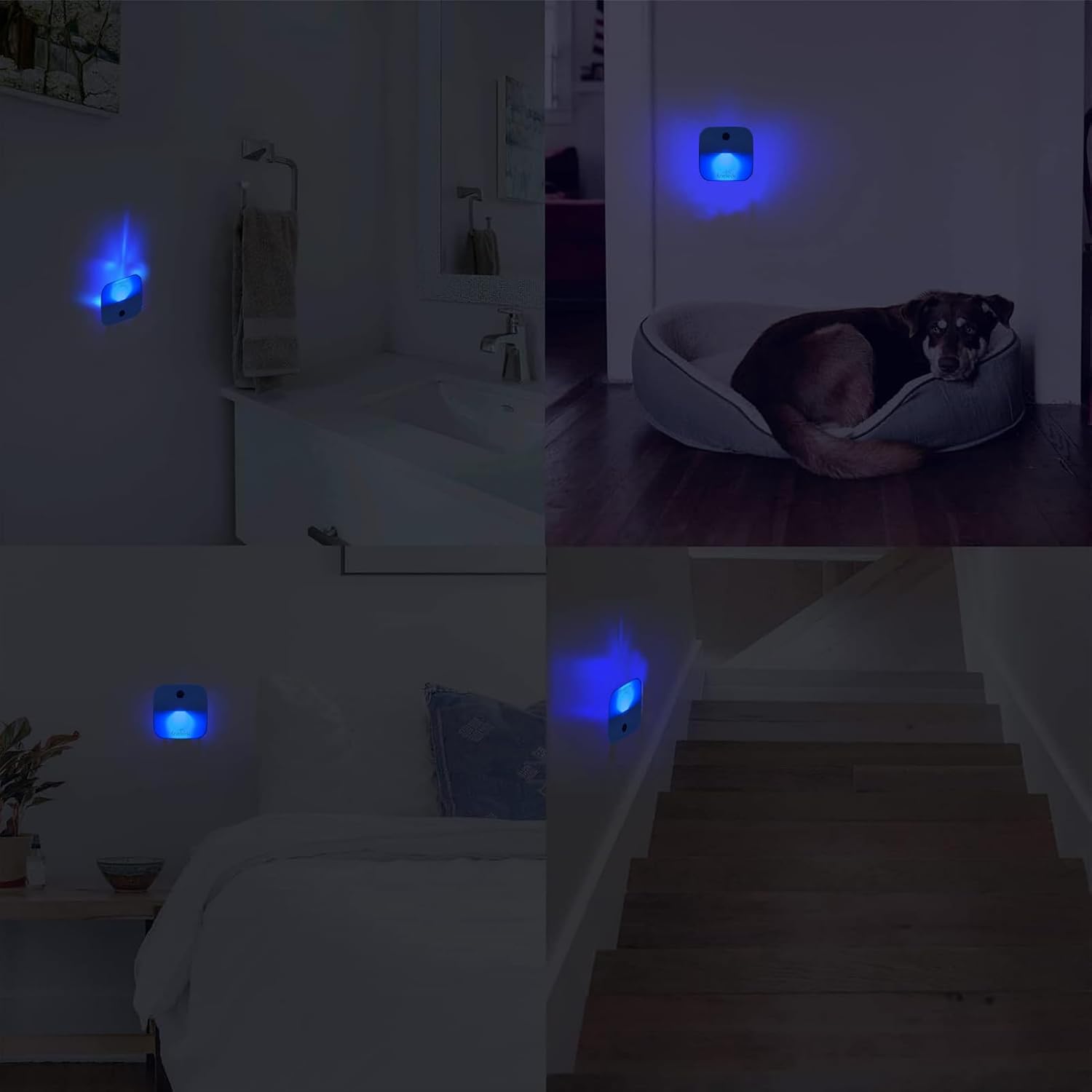 LED Night Lights Plug into Wall, Soft Night Light with Dust to Dawn Sensor, Nightlight for Travel, Kitchen, Adults…