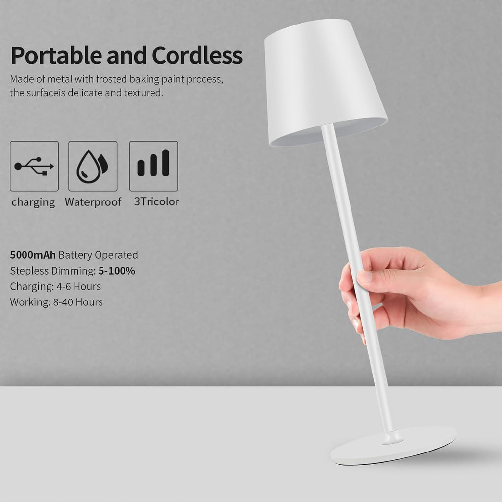 BGFHome 2Pack Cordless Table Lamp LED Desk Lamp,5000mAh Rechargeable Touch Night Light Wireless Minimalist Design for Couple…