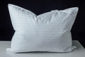 Goose Down Feather Soft Pillows One Pillow 100% Cotton Supportive Bed Pillow Stripe White Color Queen Size 20x30 inch