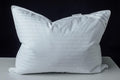 Goose Down Feather Soft Pillows One Pillow 100% Cotton Supportive Bed Pillow Stripe White Color Standard Size 20x26 inch