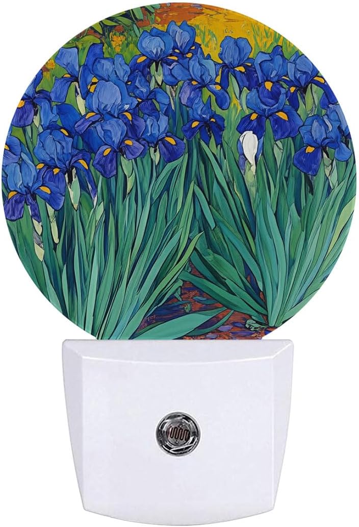 Blue Flower Oil Painting Night Light Plug Into Wall Auto Led Sleep Round Lamp for Living Room Hallway Stairs