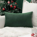 Miulee Velvet Pillow Cover Soft Luxury Decorative Throw Pillow Cover Single Lumbar Rectangle Cushion Case Home Decor for Couch Sofa Bedroom…