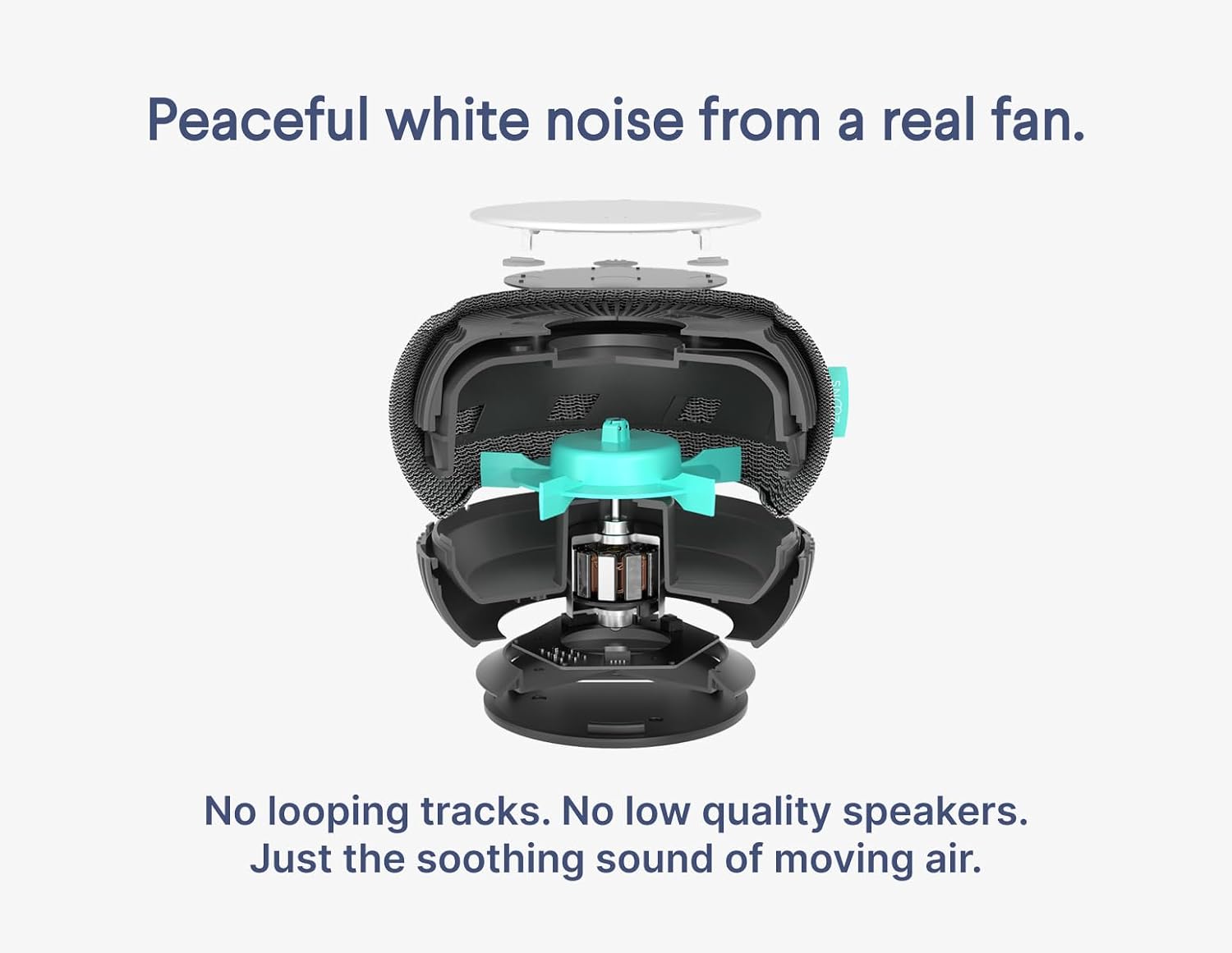 Snooz Smart White Noise Machine - Real Fan Inside for Non-Looping Sound, Portable for Adults, Dogs, Travel, Home, Bedroom, Sleepi…