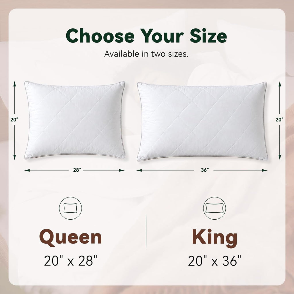 Three Geese White Goose Feather Cotton Pillows Queen Size - Soft 600 Thread Count Organic Cotton Cover, Soft Goose Feather Down Pillows…