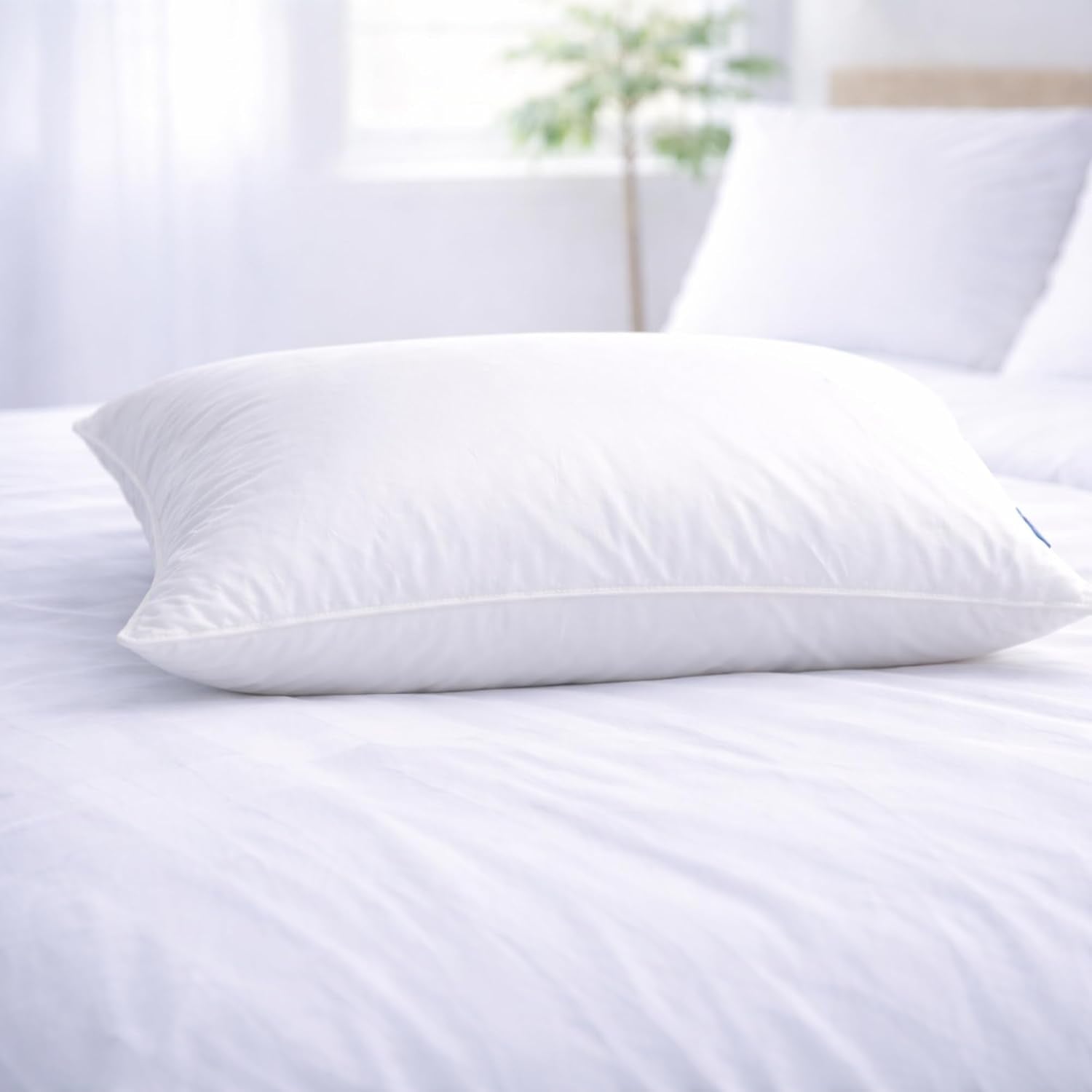 East Coast Bedding 100% White Down Pillow, No Feathers, Made in USA, 600 Fill Power, 400 Thread Count Cotton Shell, Soft Loft, Queen…