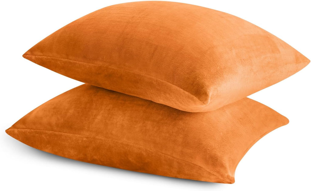 Bedelite Flannel Pillow Cases Queen Size Set of 2, Super Soft Fleece Pillowcases with Zipper for Bedroom, Sofa, Luxury Cozy Fuzzy Velvet Pi…