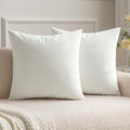 Miulee Velvet Throw Pillow Covers 20x20 Inch, Pack of 2 - Pure White, Soft Solid Decorative Pillow Covers Cushion Cases Modern Luxury Home…
