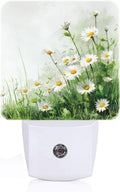 Flowers Night Light, Daisies Watercolor Plug Into Wall for Boys Girls Bedroom Decorative Square Night Light Lamp 0.5w Sleep Friendly