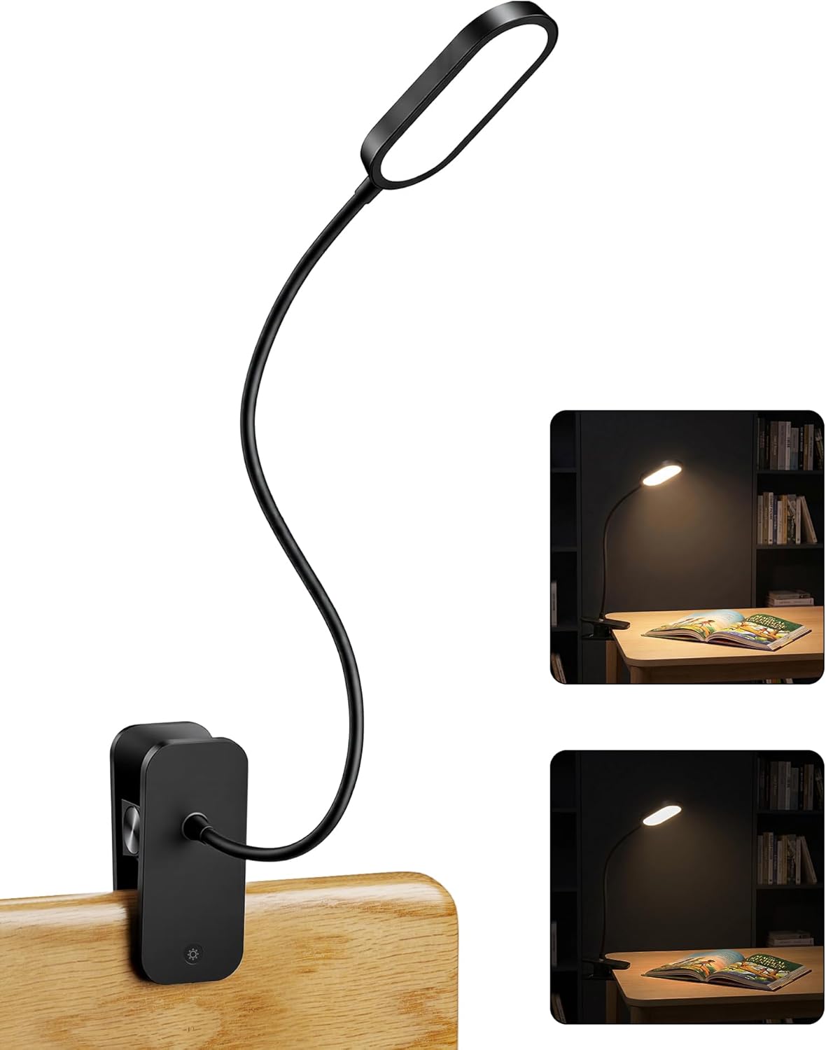 Honeywell Clip On Desk Lamp, Rechargeable Reading Light with Touch Control, Stepless Dimming, Portable Lamp for Desk, Bedside, Study