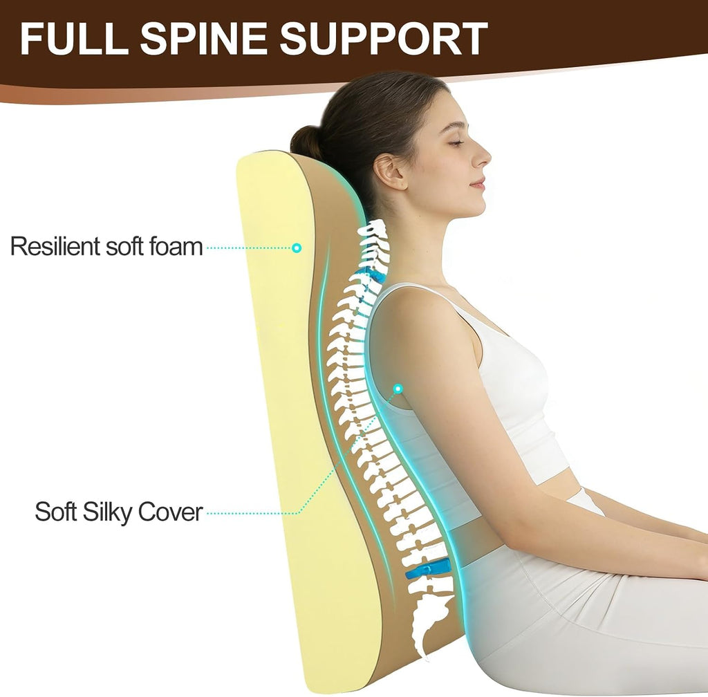 2-in-1 Neck Pillow Lumbar Support Pillow for Recliner Couch & Nursery Glider Chairs- High-Resilient Foam Cushion Ergonomic Back Support…