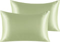 Ntbay 2 Pack Satin Queen Pillowcases for Hair and Skin, Luxurious and Silky Pillow Cases with Envelope Closure, 20x30 Inches, Sage Green 2…