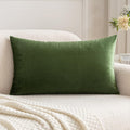Miulee Polyester Pillow Cover Soft Luxury Decorative Throw Pillow Cover Single Rectangle Cushion Case for Spring Couch Sofa Bedroom Car Dec…
