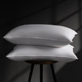 DOWNSTORIA Goose Feather Down Pillow Queen Size Set of 2, Hotel Collection Bed Pillows for Sleeping, 2 Pack, Down Surrounded Soft Medium…