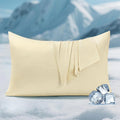Elegear Cooling Pillow Cases for Hot Sleepers, Clean Fabric Silver Infused Cooling Pillowcase Q-Max>0.5, Soft Silky Pillowcases for Hair &…