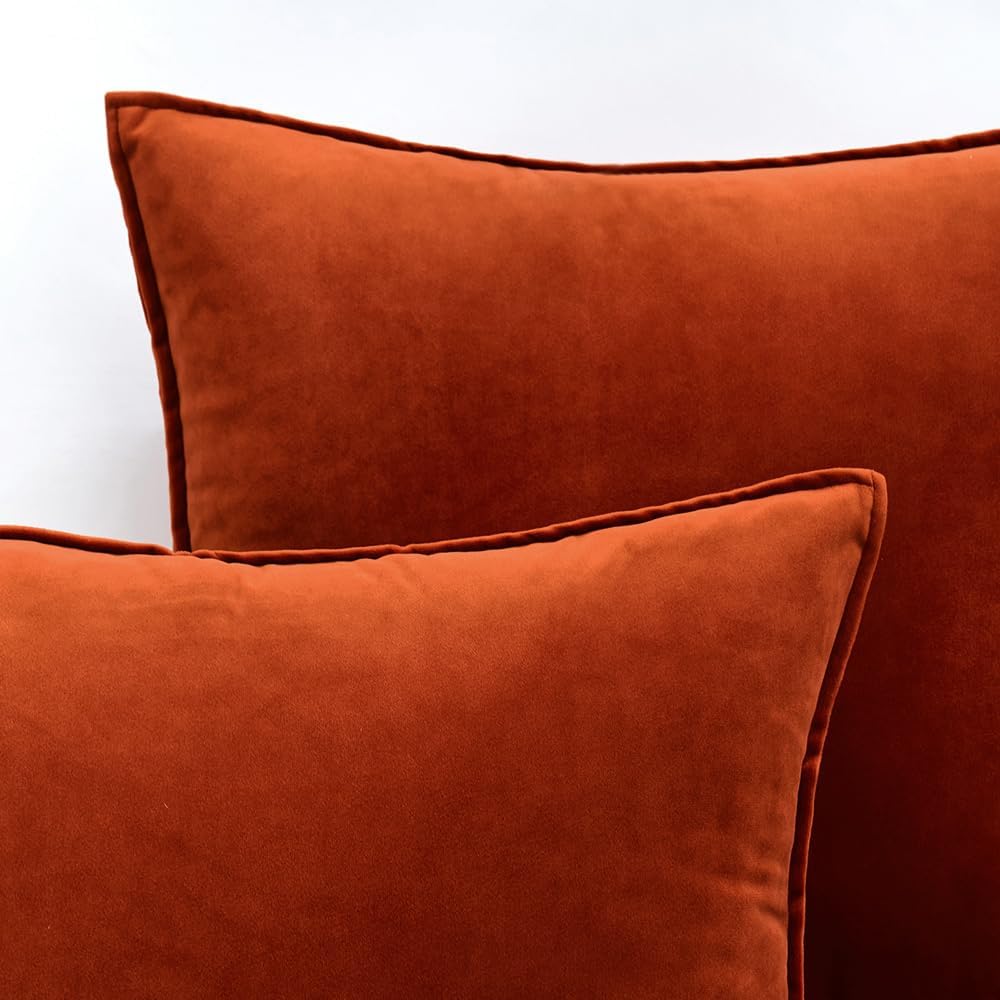 MIULEE Fall Pack of 2 Decorative Velvet Throw Pillow Covers Soft Pillowcase Solid Square Eruo Sham Cushion Case for Sofa Bedroom Car…
