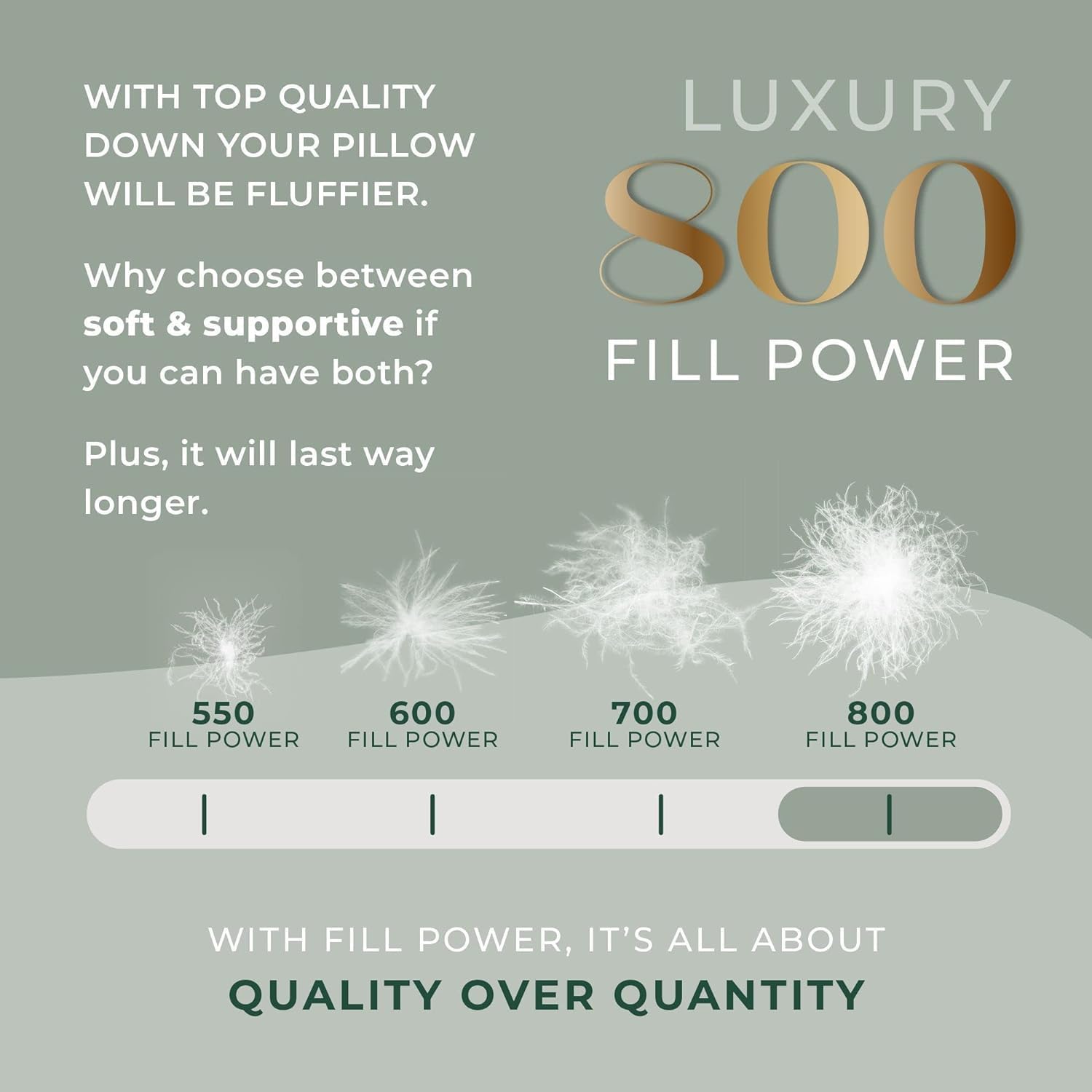 East Coast Bedding European Pure Down Pillow, 800 Fill Power, 400 Thread Count Cotton Sateen Shell, Standard Medium