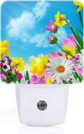 Yellow Petunias and White Sunflower Night Light, Plug-in Nightlights Auto Sensor Night Lamp Dusk-to-Dawn Lamp Home Decor for Nursery…