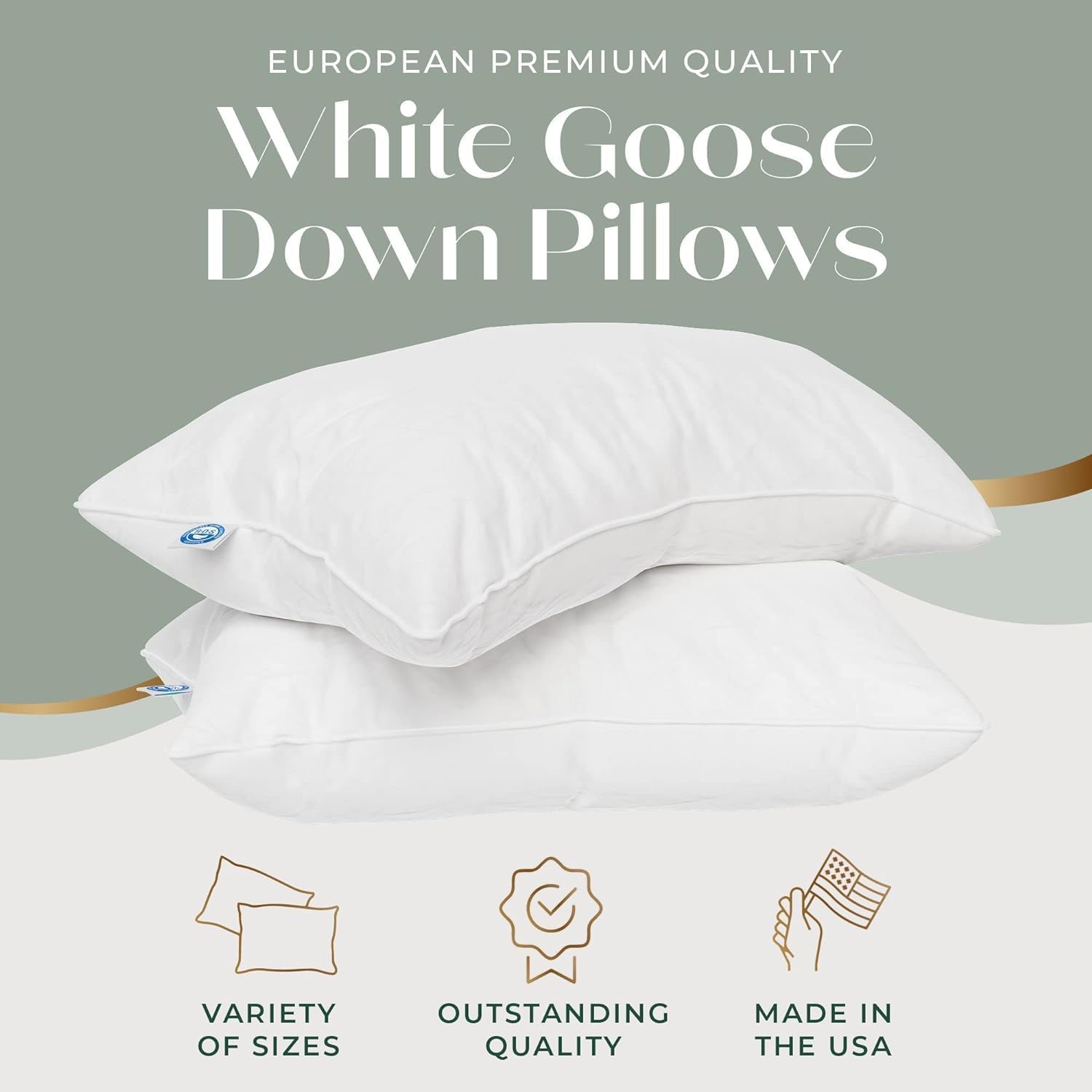 East Coast Bedding European Pure Down Pillow, 800 Fill Power, 400 Thread Count Cotton Sateen Shell, Queen Soft