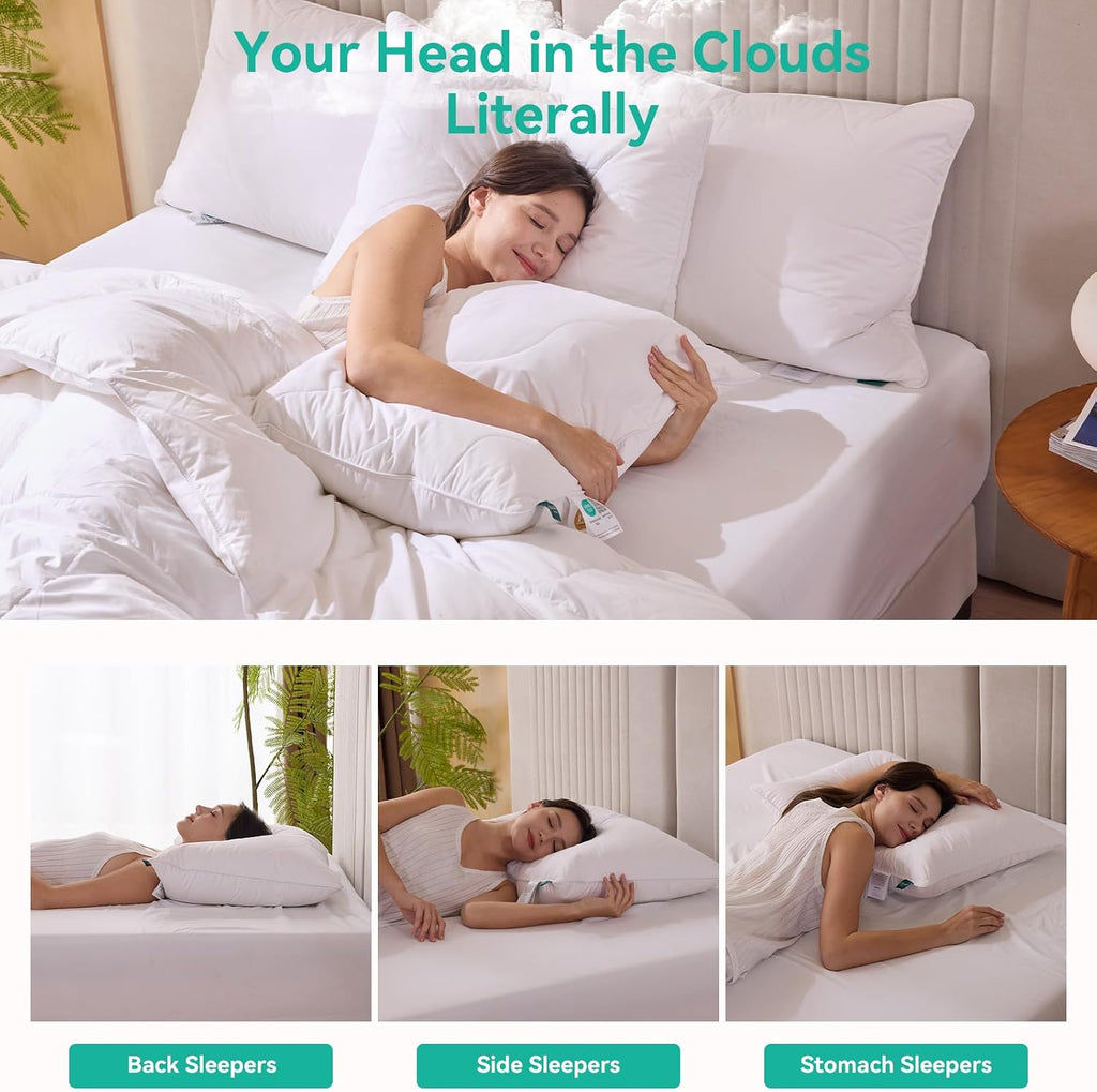 ThreeGeese Three Geese White Goose Feather Down Pillows Standard Size Set of 1-100% Cotton, Medium Firm, Soft Support Cotton White