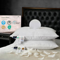 Goose Down Pillow, Hotel Quality with Feather Fill, 750 Fill Power Queen Size - 2 Pack with Pillowcase for Master Bedroom, Support for…