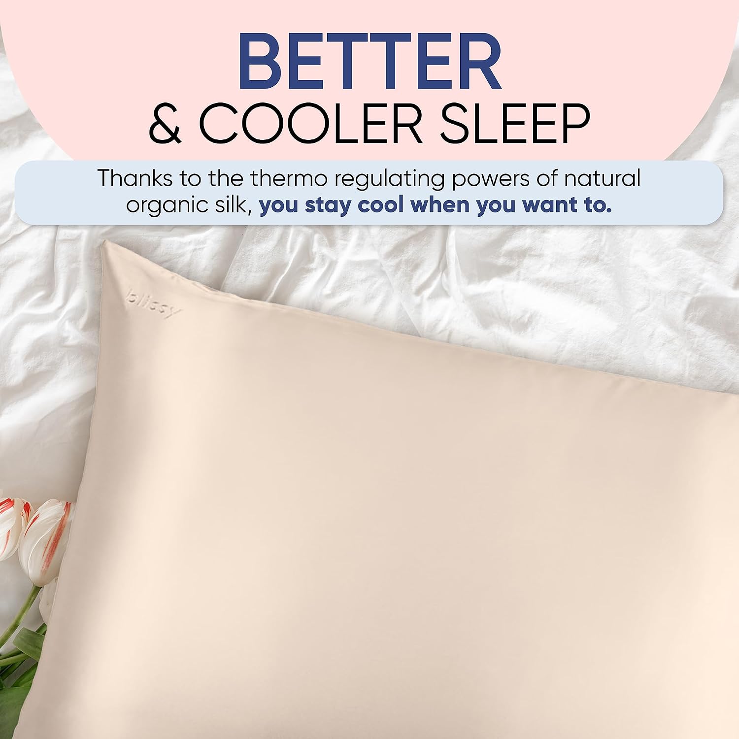 Blissy Silk Pillowcase - 100% Pure Mulberry Silk - 22 Momme 6A High-Grade Fibers - Silk Pillow Cover for Hair & Skin - Regular, Queen &…