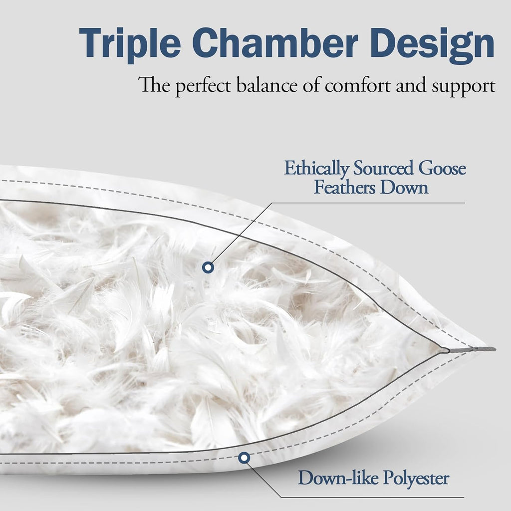 Bpc Goose Feather Down Pillows Standard Size Set of 2, Luxury Feather Pillows for Sleeping, 100% Organic Cotton Cover, Soft Support Surroun…