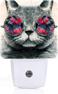 Cute Gray Cat Night Light, Plug Into Wall Decor for Stairway, Hallway, Kitchen, Dusk to Dawn Sensor Nightlights for Boys/Girls/Women/Men Room…