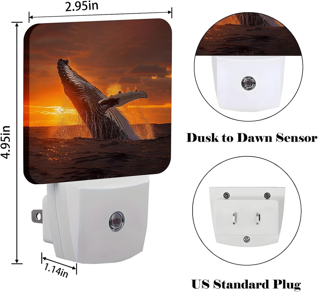 Sunset Humpback Whale Night Light, Plug Into Wall for Boys Girls Bedroom Decorative Square Night Light Lamp 0.5w Sleep Friendly