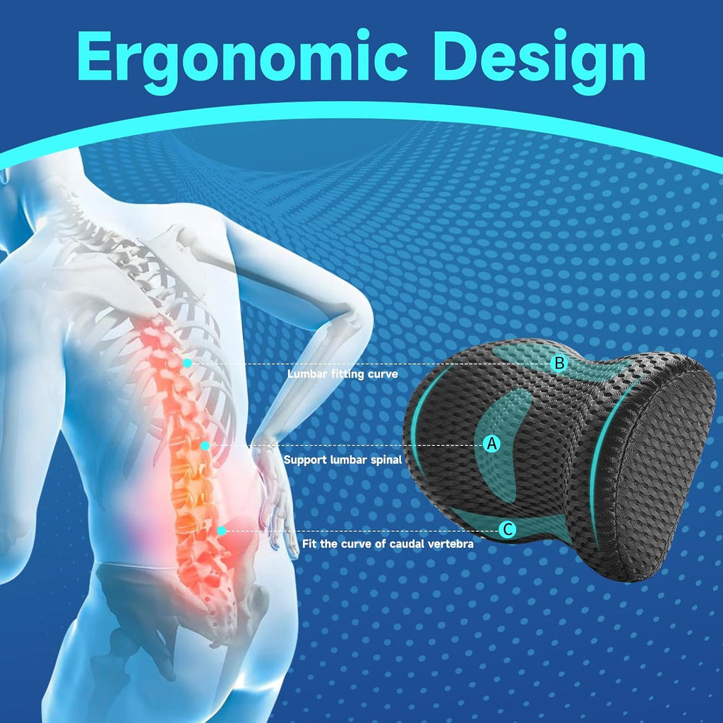 Niceedaybrand Lumbar Support Pillow for Office Chair Car Lumbar Pillow, Memory Foam Back Cushion with Breathable 3D Mesh Lumbar Support Orth…