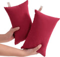 Ntbay Tiny Pillows, Down Alternative 7"x11" Microfiber Mini Pillow for Travel, Pets, Soft Machine Washable Small Pillows for Neck, Wrist, L…