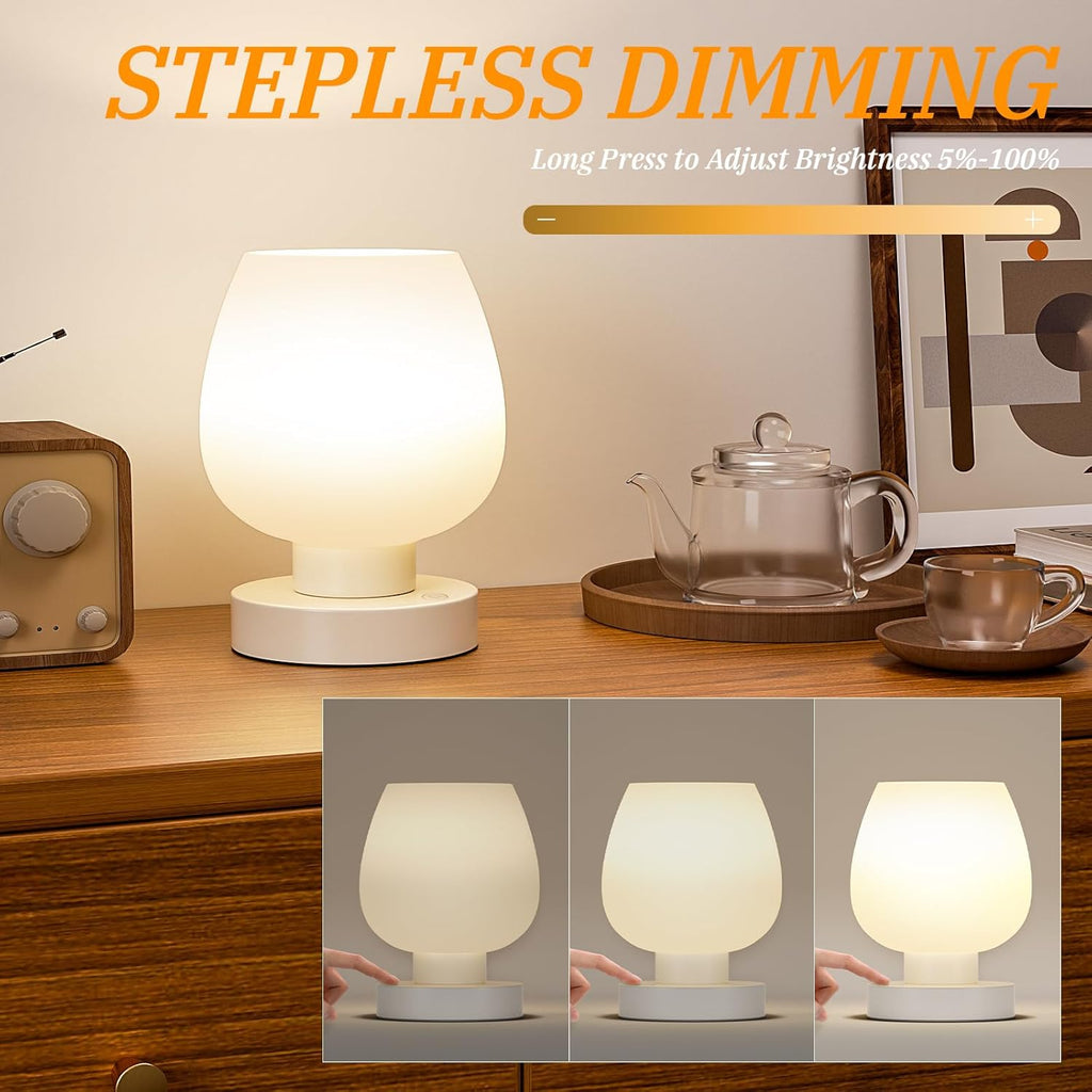 Seealle Cordless Touch Table Lamp for Nightstand - Small Bedside Lamp for Bedroom Night Stands, Desk Lamp with White Glass Shade for…