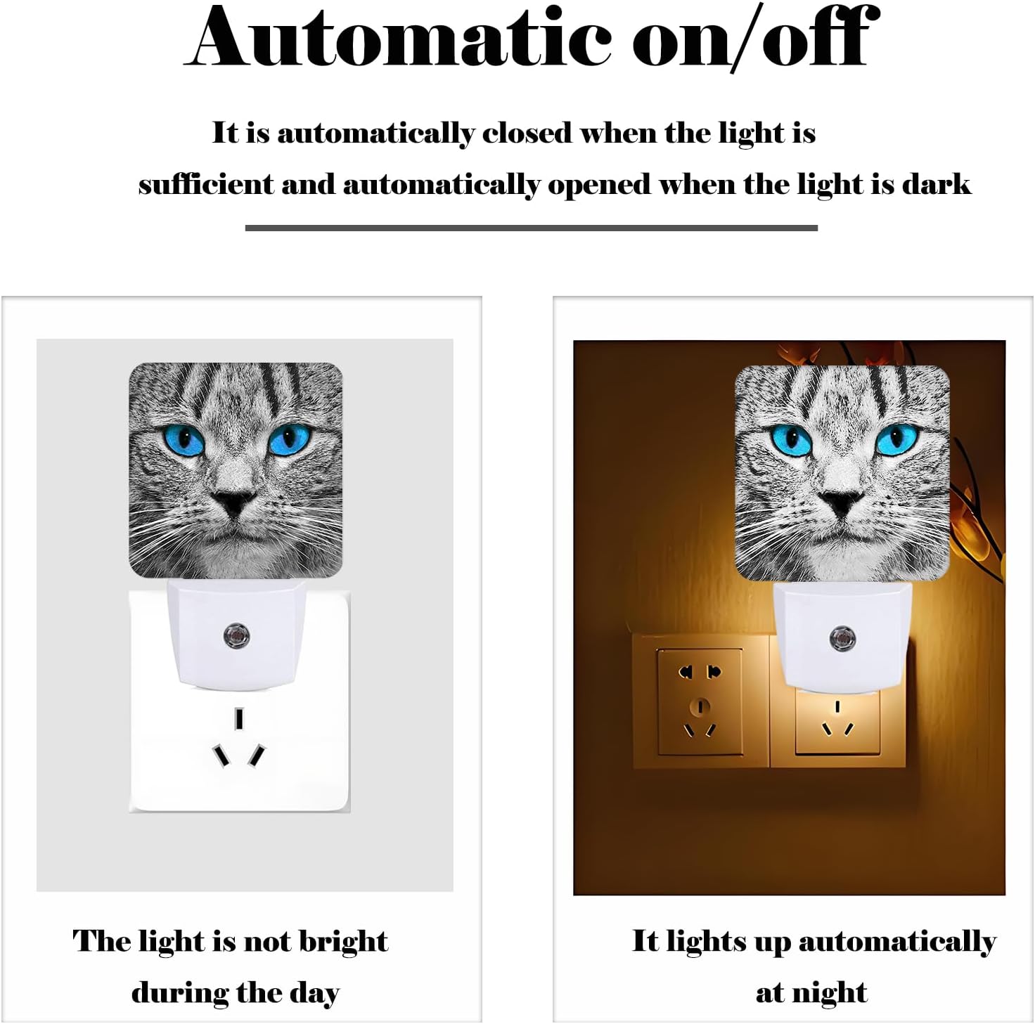 Blue Eyes Cat Night Light, Plug Into Wall with Dusk to Dawn Light Sensors, Warm Nightlights for Bedroom, Bathroom, Hallway, Kitchen, Gifts…