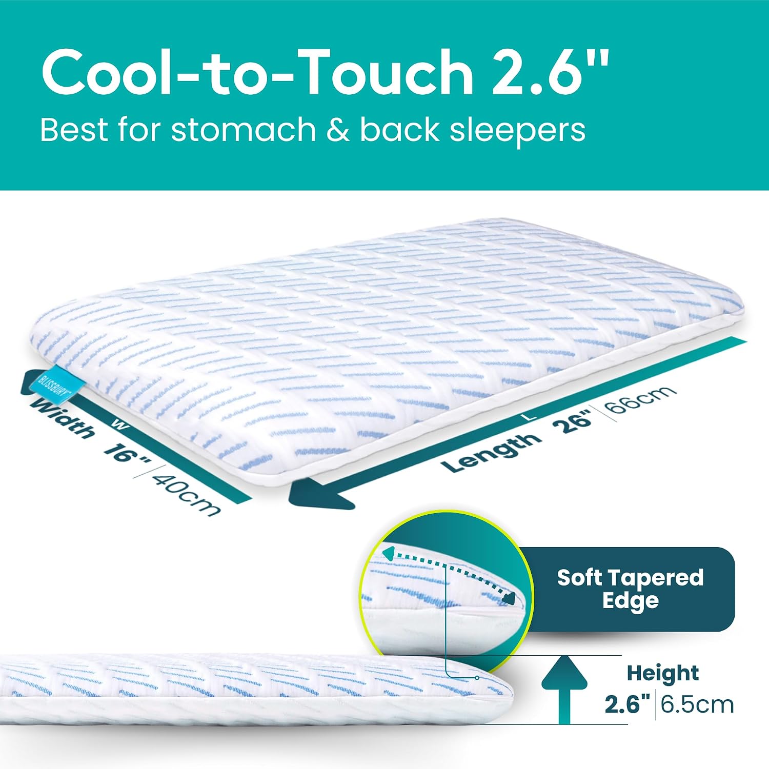 BLISSBURY Cooling Memory Foam Pillow, 2.6 Inch Thin, for Stomach & Back Sleeper, Queen Size, Removable Cool-Tech Cover, CertiPUR-US…