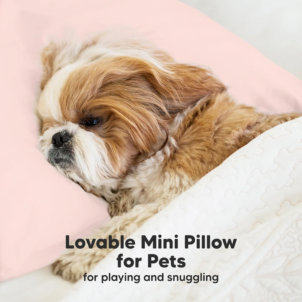 Mini Toddler Pillow with Pillowcase - 9x13 My Little Dreamy Travel Kids Pillow for Sleeping, Toddler Bed, Small, Tiny, Organic Cotton…