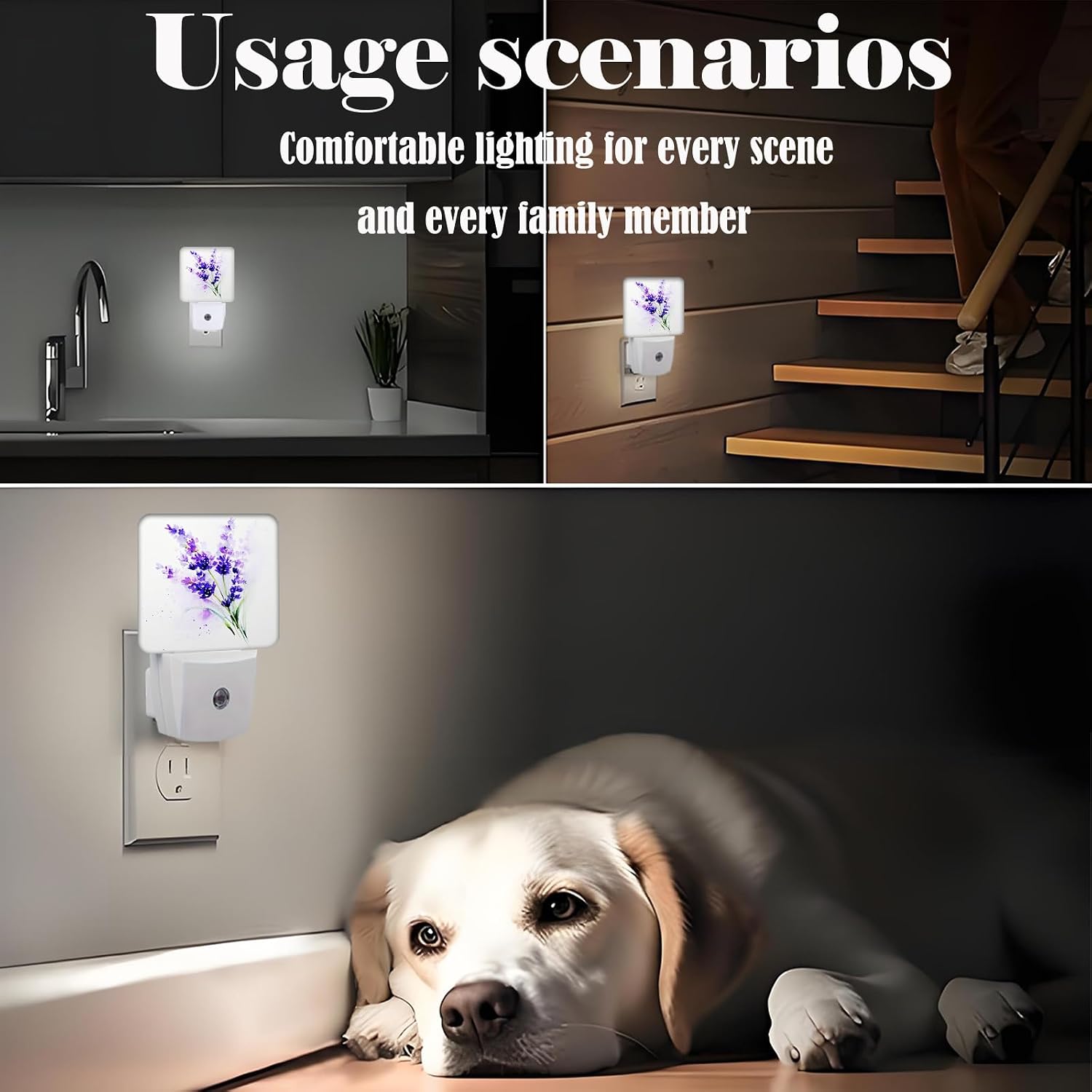 Purple Lavender Flowers Night Light, Wild PlantsPlug Into Wall for Boys Girls Bedroom Decorative Square Night Light Lamp 0.5w Sleep Friendly