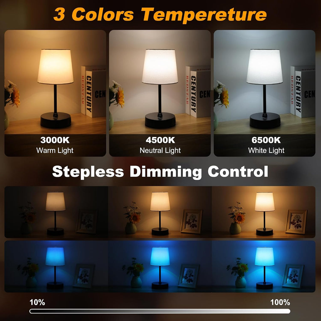 Ascher Small Bedside Table lamp, RGB Color Changing Lamps, 3 Color Temperatures, Dimmable Nightstand Lamp with USB C+A Ports, Touch Desk…