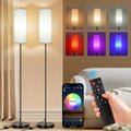 FRIDEKO HOME 2 Pack Floor Lamps for Living Room, Dimmable Colors Temperature & Brightness, Modern Floor Lamp with Remote, Tall Standing…