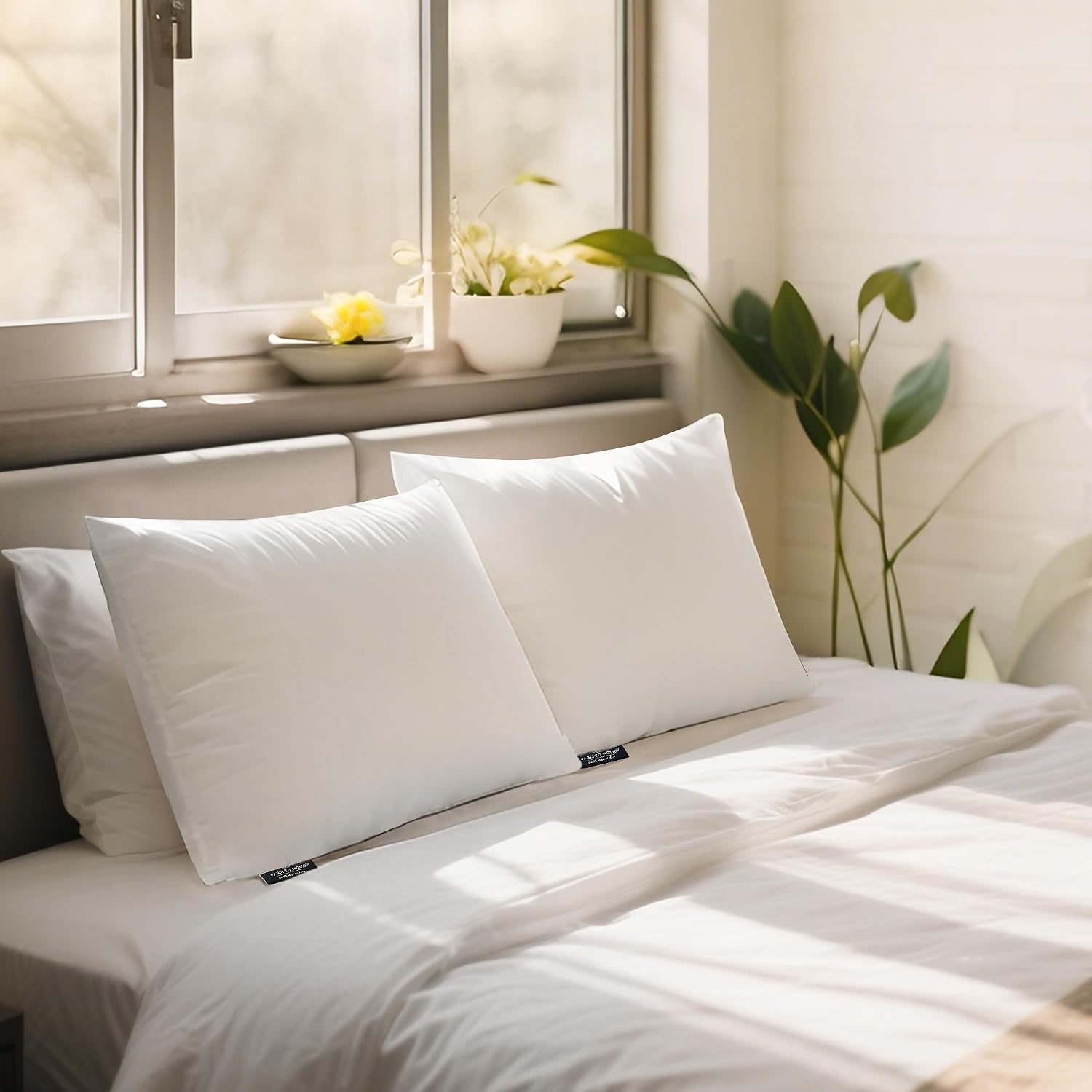 Farm To Home 100% Organic Cotton Cover Pillows King Size Set of 2, Down Alternative Hotel Quality Soft Bed Pillow for Back & Side…