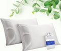 Stnomyhome Eucalyptus Tencel Cooling Pillowcase 2 Pack Queen Silver | Moisture Wicking for Night Sweats | 3X Faster Drying | Oeko-TEX Certi…