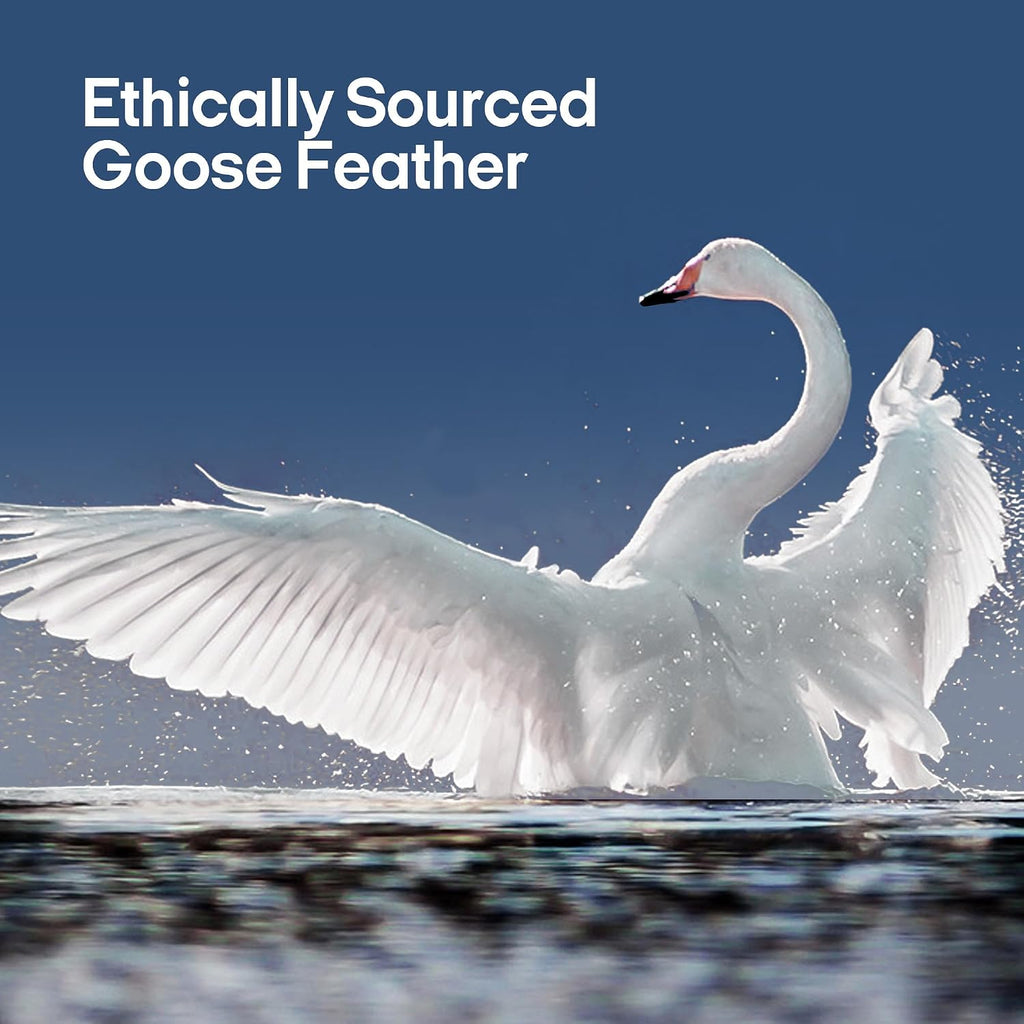 puredown® Goose Feathers and Down Pillows, Premium Medium to Firm Bed Pillows for Sleeping, Luxury Pillows with 100% Cotton Cover, 2…