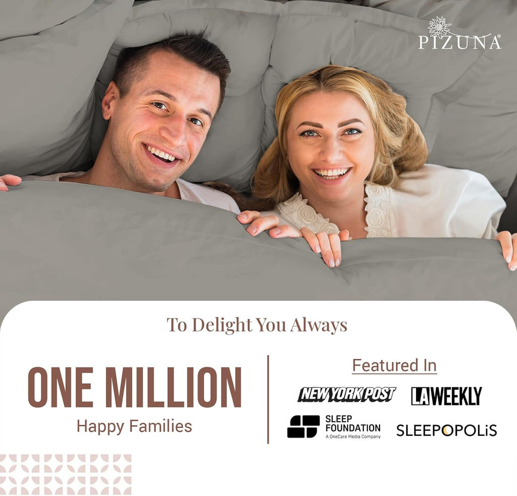 Pizuna Pure 100% Cotton Pillow Shams Queen Size Set of 2 Ash Grey, Luxurious 400 Thread Count Long Staple Cotton Sateen with Envelope Closu…