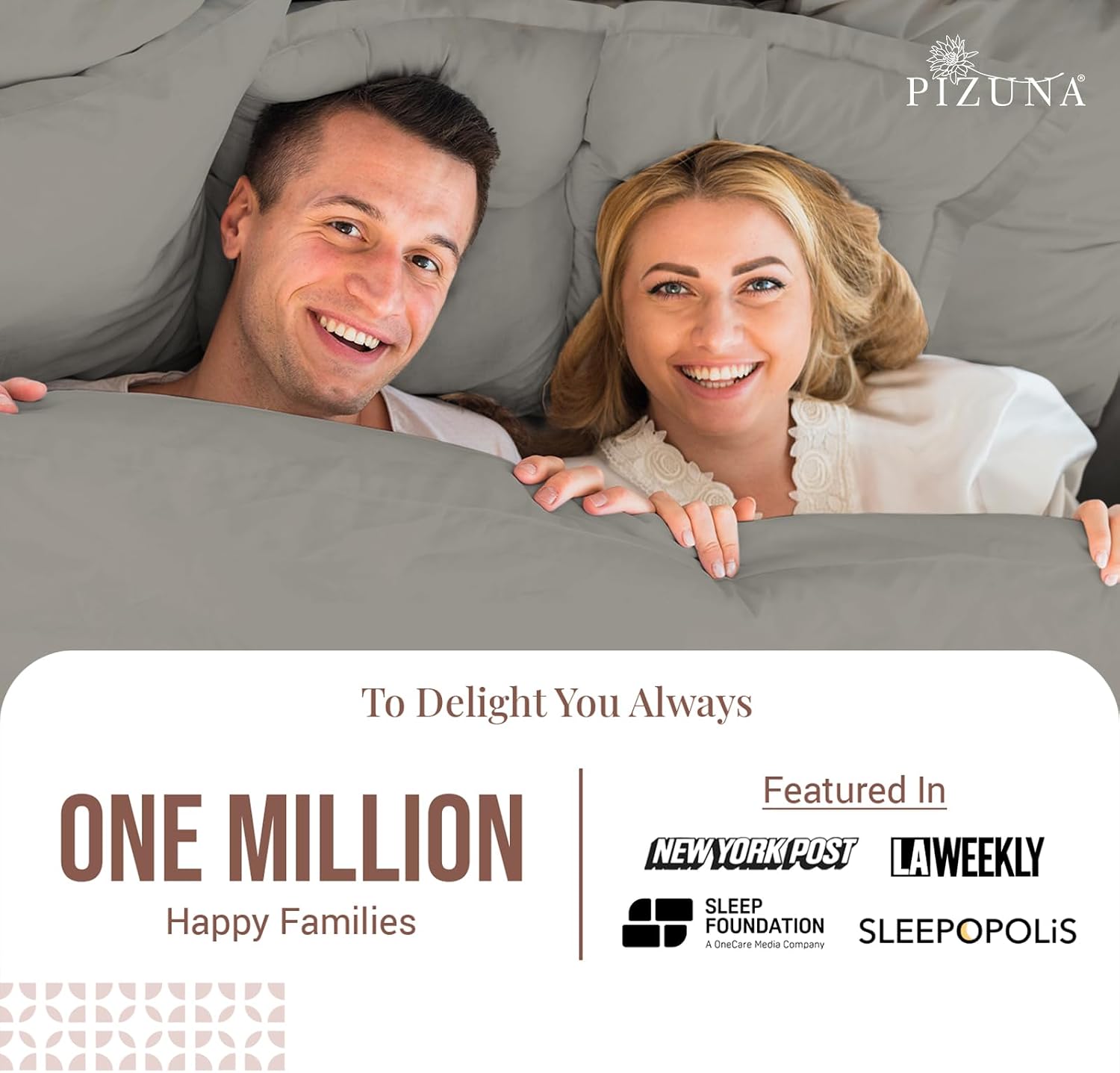 Pizuna Pure 100% Cotton Pillow Shams Queen Size Set of 2 Ash Grey, Luxurious 400 Thread Count Long Staple Cotton Sateen with Envelope Closu…