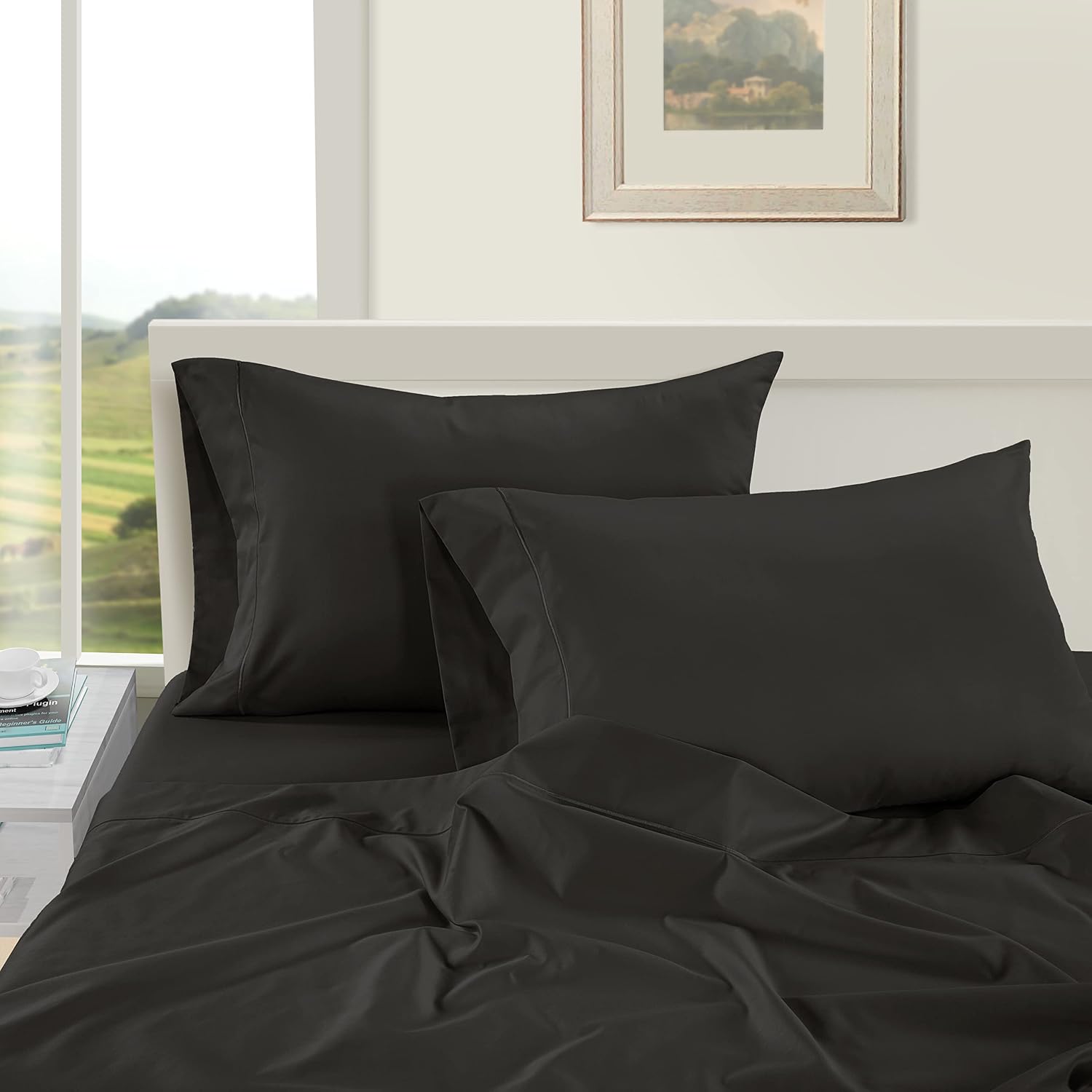 LaneLinen LANE LINEN Pillows Queen Size Set of 2, Soft 100% Egyptian Cotton, Cool & Smooth Pillow Cases - Black Cotton Black